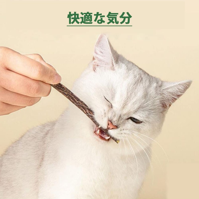 GOODCHI Cat Teeth Scraper Branch Natural No Additives Kitten Teeth