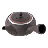 Tokoname Ware tk009 Teapot, Takeharu, Kome, 10.1 fl oz (300