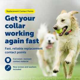 PetSafe Replacement Contact Points - Extra Collar Prongs Kit for Wireless & In-Ground Fence Collars - Includes Short Metal Prongs & Long Metal Prongs - Contact Point Wrench Included