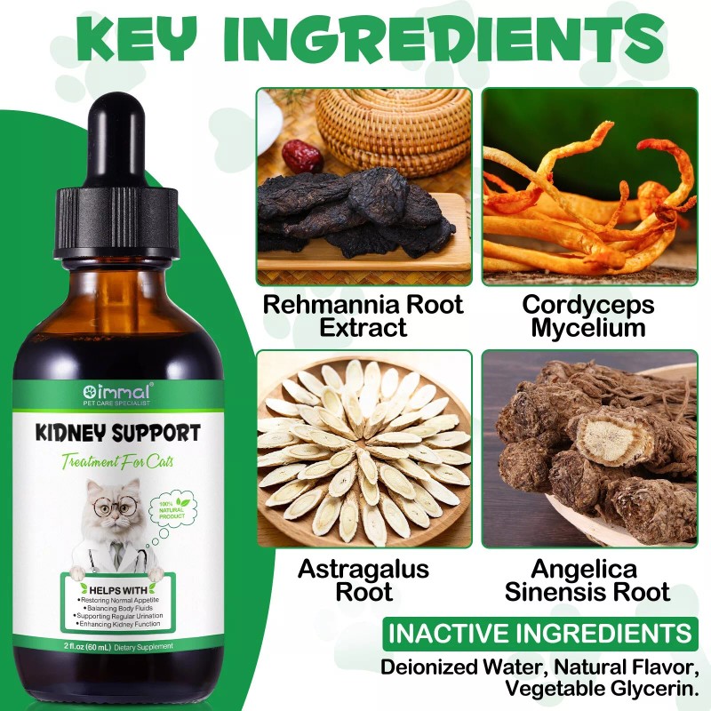 Oimmal Kidney Support for Cats Liquid Supplement Supports Healthy Kidney