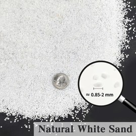 FANTIAN 5 lbs Aquarium White Sand, 0.8-2 mm Mini Aquarium Gravel. Coarse Sand for Fish Tank, Paintings, Succulent Plants Potted, Fire Pits, Candle, Vase Filler and Crafts