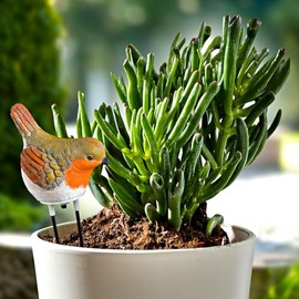 3 PAGEN® Watering Indicator Robin - Acoustic Signal for Watering - Soil Moisture Meter - Plant Care Made Easy - Decorative Figure with Smart Function - Moisture Indicator