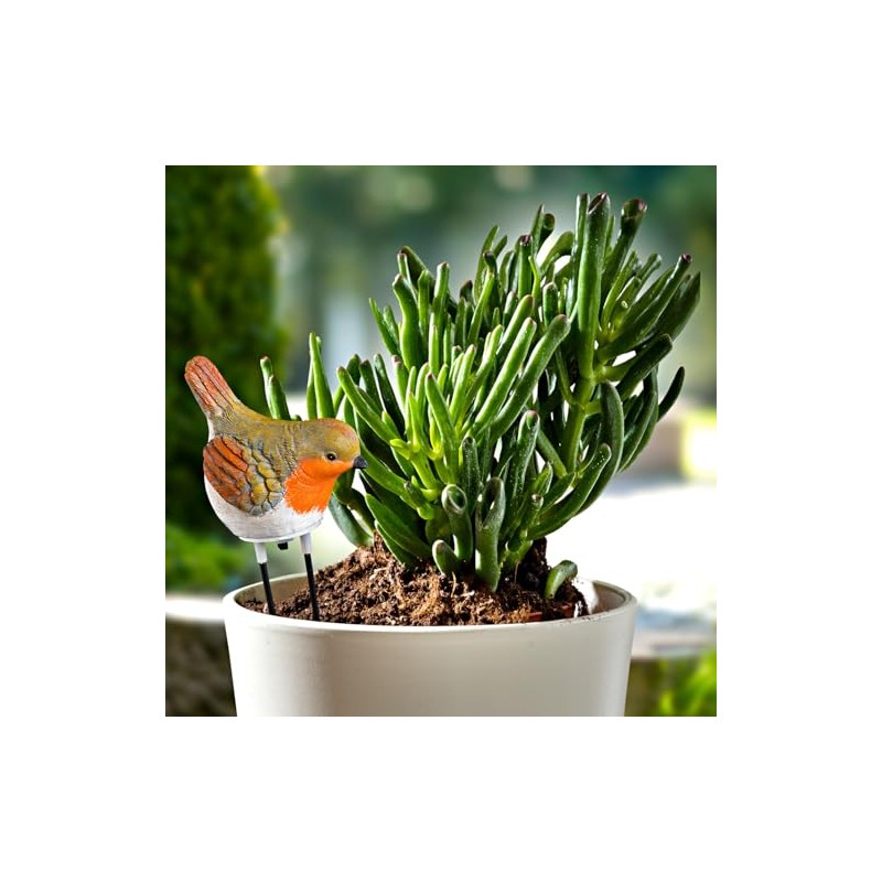 3 PAGEN® Watering Indicator Robin - Acoustic Signal for Watering