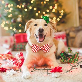 Malier Dog Christmas Collar with Bowtie, Classic Stripe Dog Christmas Collar for Girl and Boy, Cute Adjustable Dog Collars Puppy Collar for Small Medium Large Dogs Cats Pets (Small, Red Stripe)