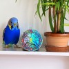 Gulf Coast Laser Graphics Parakeet 2 aka Budgerigar Stained Glass