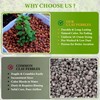 BIOMAND 12qt LECA Clay Pebbles for Plants, 10-20mm LECA Balls
