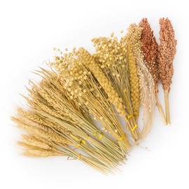 ZIPPYPET Hamster Sprays and Forage Accessories for Cages, Pet Mouse Decor Textures (7)