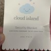 Cloud Island Bunny Baby Security Blanket Blue Check Infant Plush