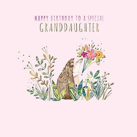 Granddaughter Birthday Greeting Card By The Curious Inksmith Greetings Cards