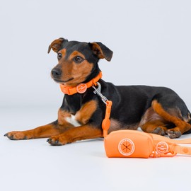 HUGO & HUDSON Dog Poop Waste Bag Dispenser, Poo Bag Holder with Carabiner Clip, Orange