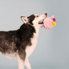 Fringe Studio 314209 - Juguete de Peluche para Perro, si
