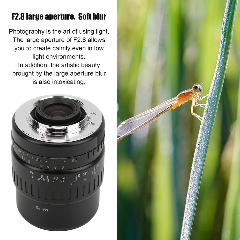 TTArtisan 40mm F2.8 APSC Macro Lens Manual Focus M4/3 Mount