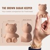 Sifri Art Brown Sugar Keeper 3D – Terracotta Clay Bear
