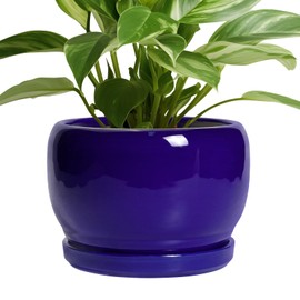 SQOWL 8 Inch Plant Pot - Ceramic Planter for Indoor Plants Outdoor, Ceramic Flower Pot with Drainage Hole and Saucer, Modern Round Planter, Bathroom Decor, Gifts for Plant Lovers, Blue