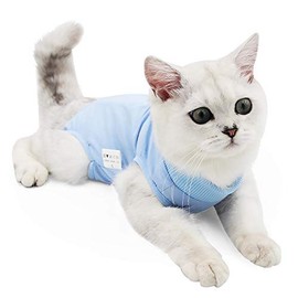 Cat Professional Recovery Suit for Abdominal Wounds or Skin Diseases, E-Collar Alternative for Cats and Dogs, After Surgery Wear, Home Clothing (S, Blue)