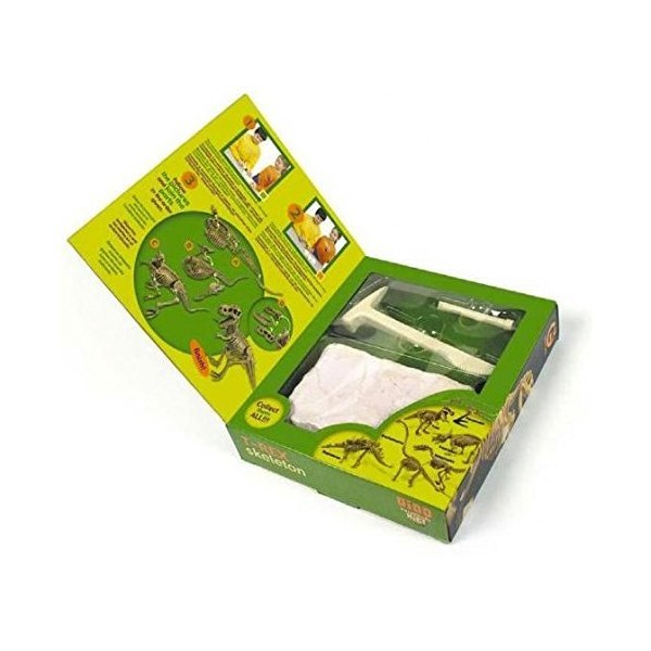 Dinosaur Excavation Set Triceratops