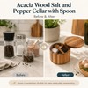 Acacia Wood Salt and Pepper Cellar with Spoon - 360°