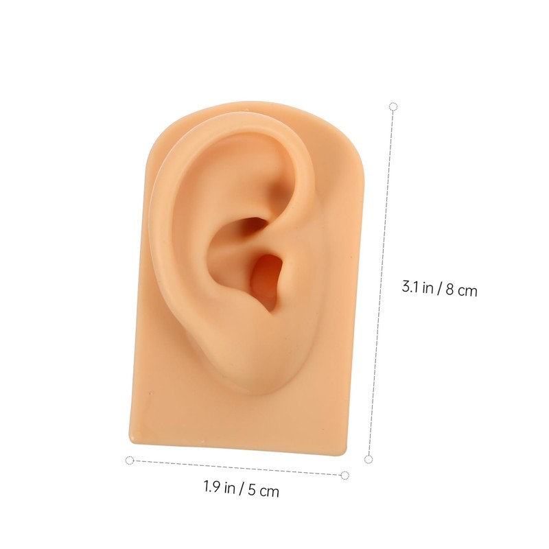 Baluue Ear Piercing Model Display Platform Accurate Human Ear Canal