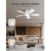 TALOYA Ceiling Fans with Lights and Remote, 46 Inch Low