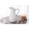 Pampa Bay Salerno Water Pitcher