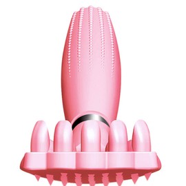 HEALLILY Back Scratcher Extending Metal Extendable Portable Backscratcher Backslap with Plastic Handles Body Massager for Child Elderly Women Men 2pcs (Blue, Pink)