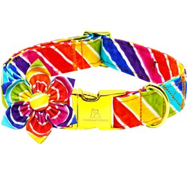 Lionheart glory Rainbow Dog Collar with Flower Colorful Summer Dog Flower Collar Heavy Duty Adjustable Pride Collars for Small Dogs Pet Gift Holiday