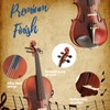 4/4 Violin for Beginners, Acoustic Full Size Starter Kit for