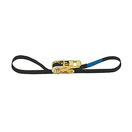 Ah Accessories Lashing Strap with Tension Ratchet, Black