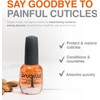 Probelle Aceite de Nuez de Kukui para Cutículas - Hidratación