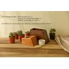 AspenStudio Plant Urn for Adult Human Ashes Cremation Wooden Urn
