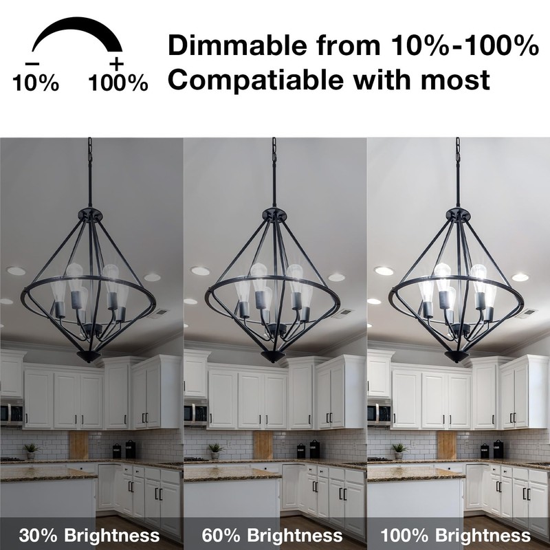 DAYBETTER 6 Pack Vintage LED Edison Bulbs, E26 Dimmable LED