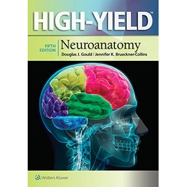 Highyield Neuroanatomy