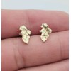 10k Yellow Gold Small Nugget Earrings