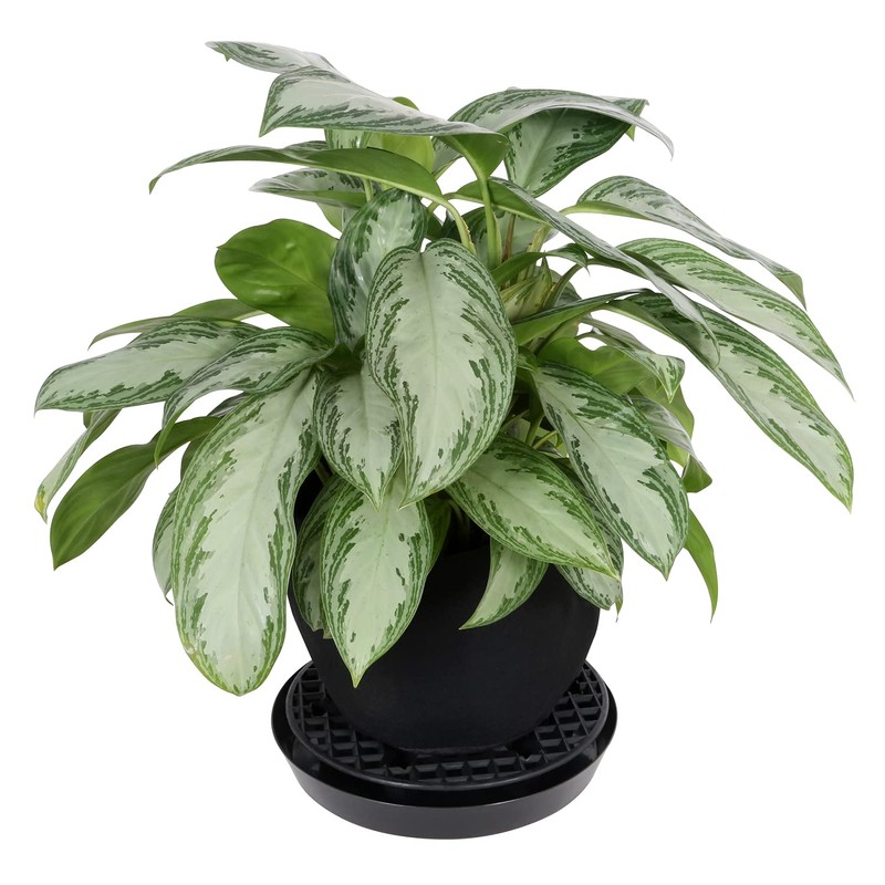 Gro Pro NX Level Pot Elevator - 13 in (50/Cs)