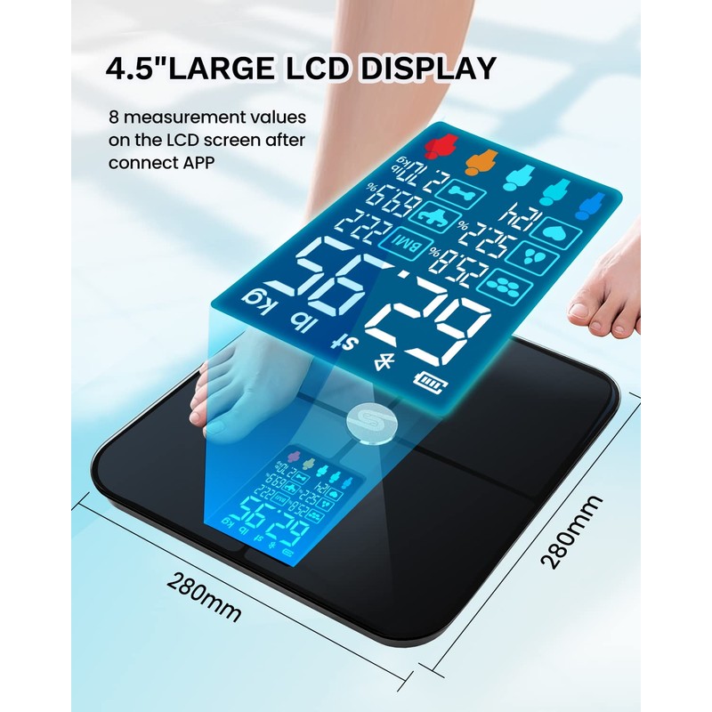HEYAXA Smart Scale for Body Weight, Digiatl Weight Scale with