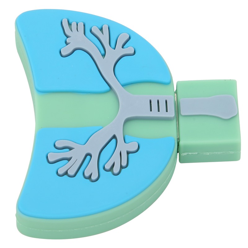 U Disk USB2.0 3 Dimensional Practical Innovative Data Storage Gift