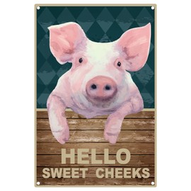 CREATCABIN Funny Metal Tin Sign Hello Sweet Cheeks Vintage Pig Sign Wall Decor for Office Home Bathroom Toilet Decor Gifts Best Farmhouse Decor Gift 12 x 8 Inch