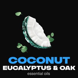 AXE Fine Fragrance Collection Premium Deodorant Body Spray for Men Pure Coconut 3 Count with 72H Odor Protection and Freshness Infused with Coconut, Eucalyptus, and Oak Essential Oils 4 oz