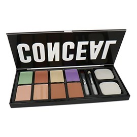 Profusion Cosmetics Absolute Conceal Kit, 24 g, Multi-Colour
