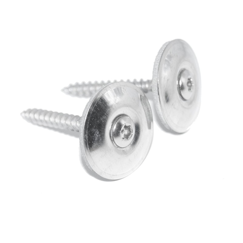 Spengler Screws 4.5 x 60 Pack of 50 with EPDM
