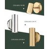 Cargifak 2-Light Wall Light, Brass Gold Wall Sconce, Indoor Up