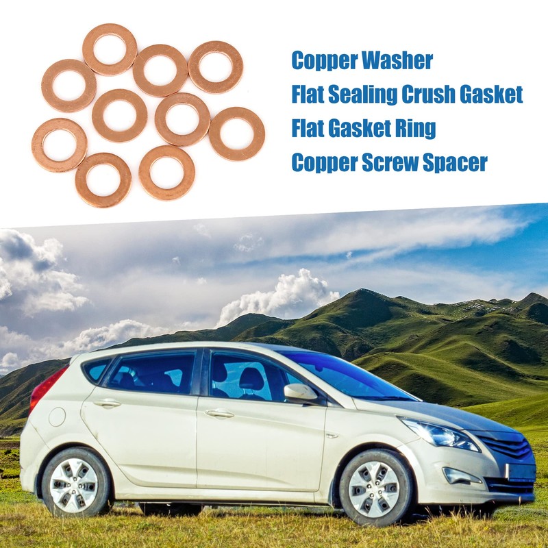 A ABSOPRO 10 Set Copper Disc 10 x 18 x