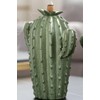 Cute Cactus Backflow Incense Burner, Green Ceramic Incense Holder Waterfall