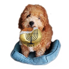 Hanukkah Gelt Coin Dog Toy - Chewdaica Oxford Material Hanukkah Gifts for Dog Owners, Judaica Jewish Holiday Party Favors Chanukah Accessories Décor