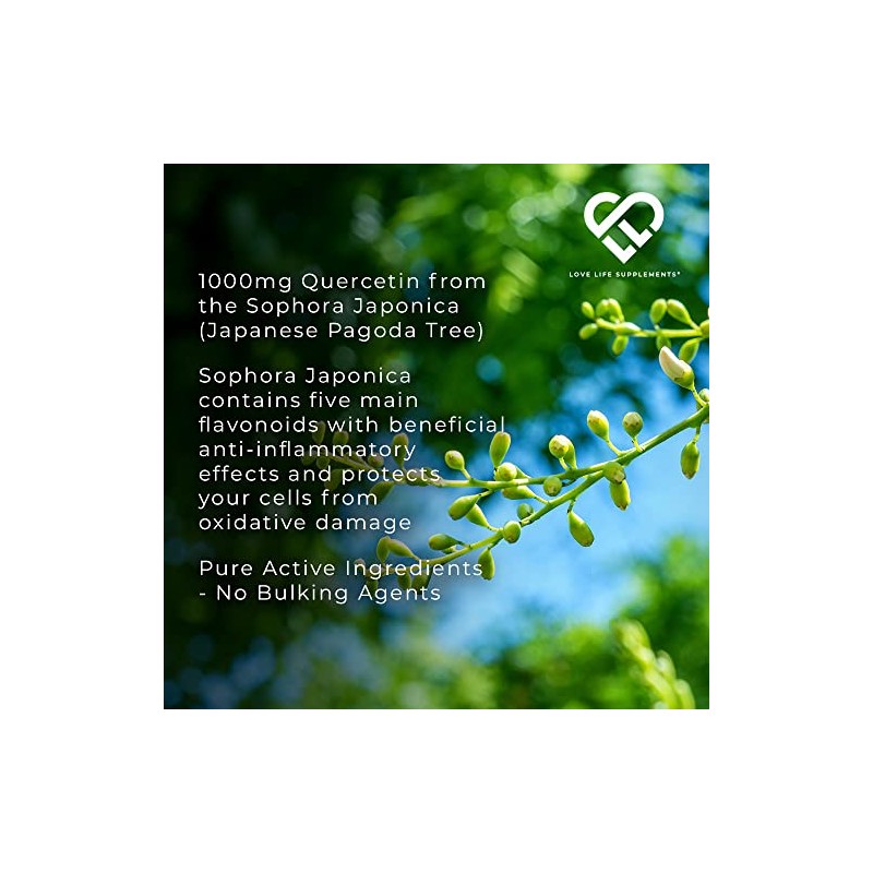 Quercetin & Bromelain 1000mg | 60 Capsules - 30 Servings