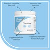 BRONX Choline Bitartrate 410mg Per Serving 300 Vegan Capsules |
