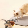 Unbranded Chirping Bird Cat Toy with Remote Control Interactive Plush