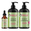 Kit Shampoo Acondicionador Y Aceite De Romero Mielle Organic