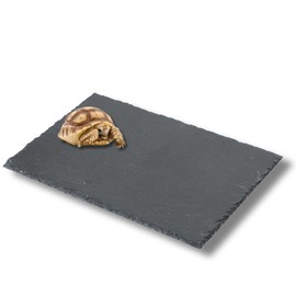 JP Number Turtle Drying Board, Food Plate, Turtle, Nail Sharpening Pad, Heat Retention, Moisturizing, Lava, Rocks, Rearing Case, Interior, Flooring Material 11.8 x 7.9 inches (30 x 20 cm)