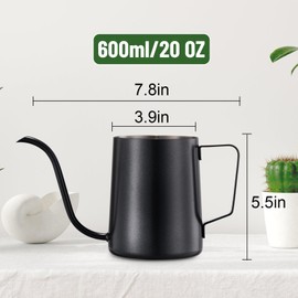 Lizhluzh Watering Can Indoor Plants, Indoor Watering Can 20 oz / 600 ml, Small Watering Can with Long Spout, Stainless Steel Plant Watering Can (Black)